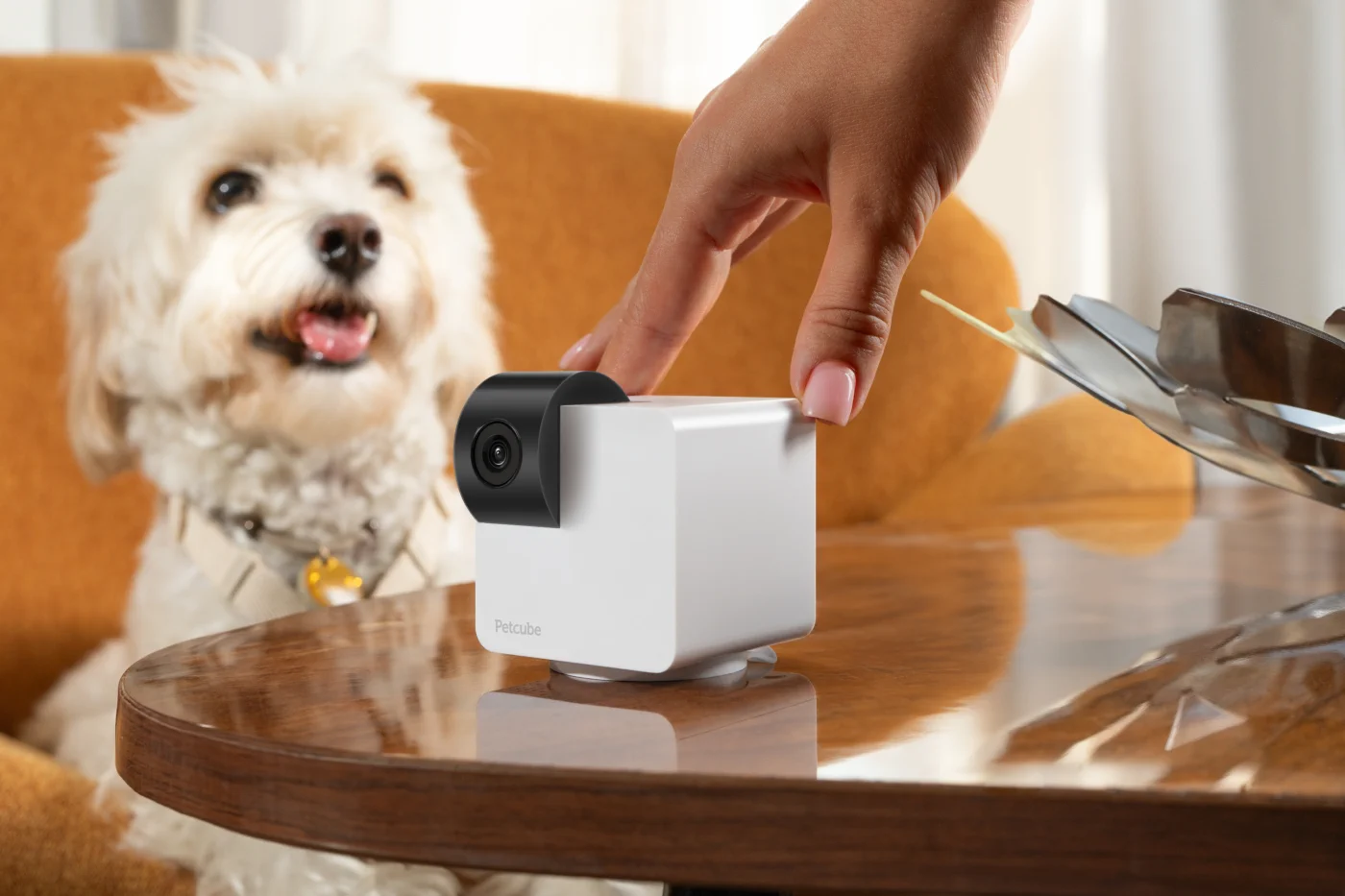 PETCUBE CAM 360 CAMERA INTERACTIVĂ ULTIMATE WIFI DE SECURITATE PENTRU ANIMELE ȘI CASĂ PAN-TILT