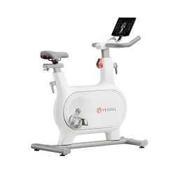 Yesoul Spin Bike M2EV White | Training bike |