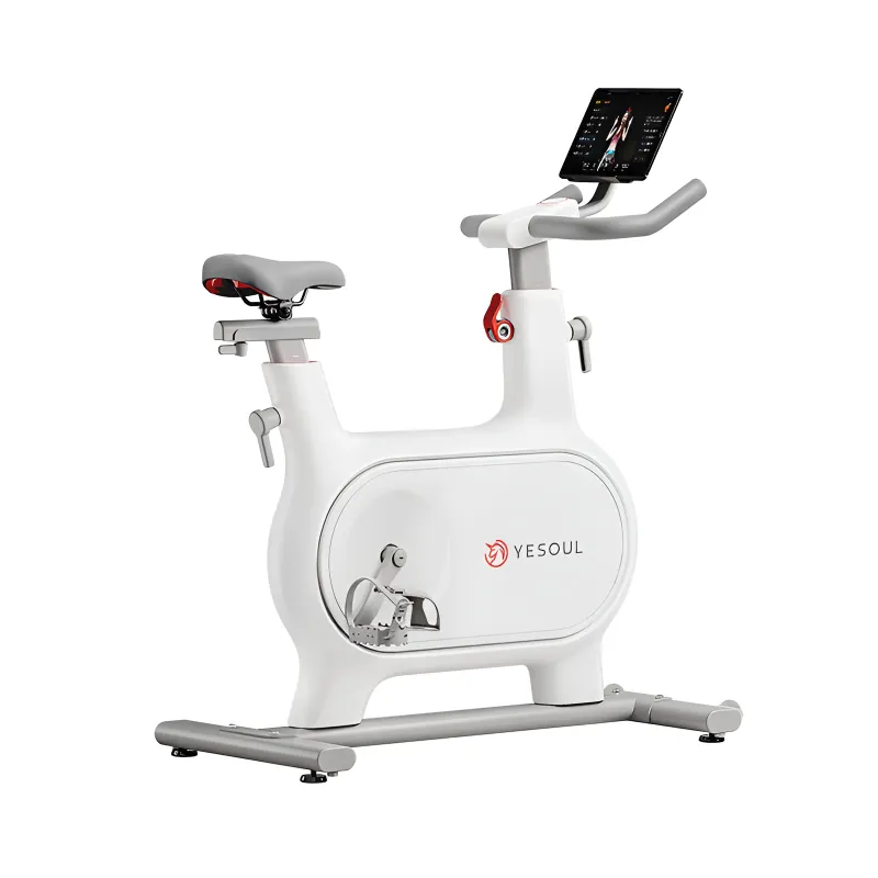 Yesoul Spin Bike M2EV White | Training bike |