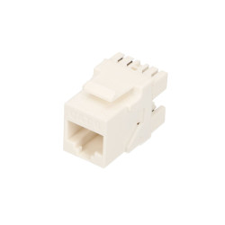 Extralink CAT6 UTP | Keystone | RJ45