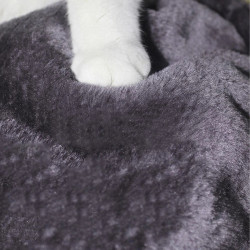 Arranhador para gatos e gatinhos Extralink Pets, cama arranhadora brinquedo bola pet-771 - Imagem 4