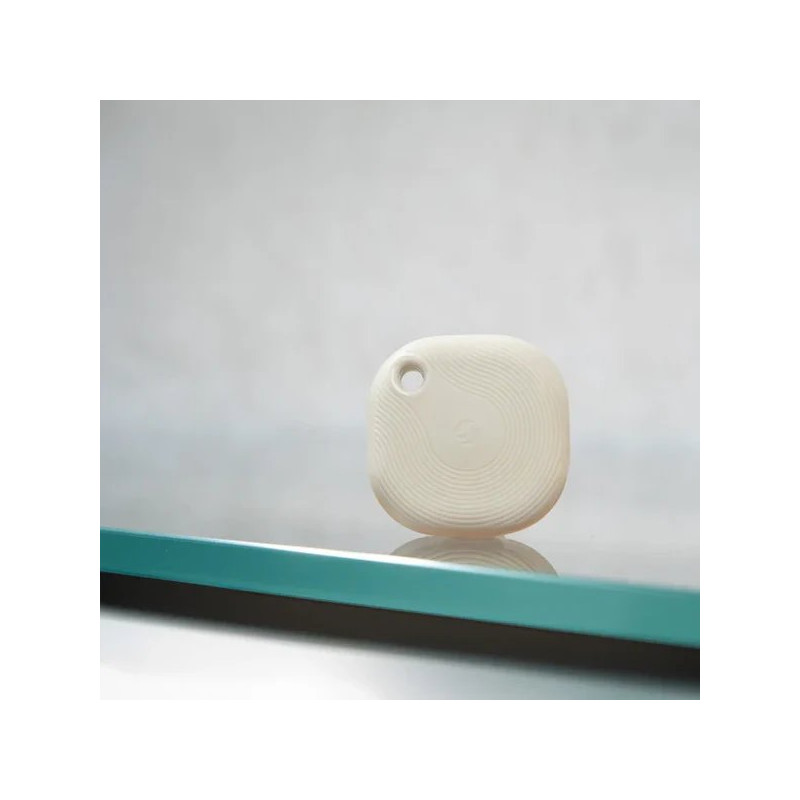 SHELLY BLU BUTTON TOUGH 1 IVORY - Imagen 3