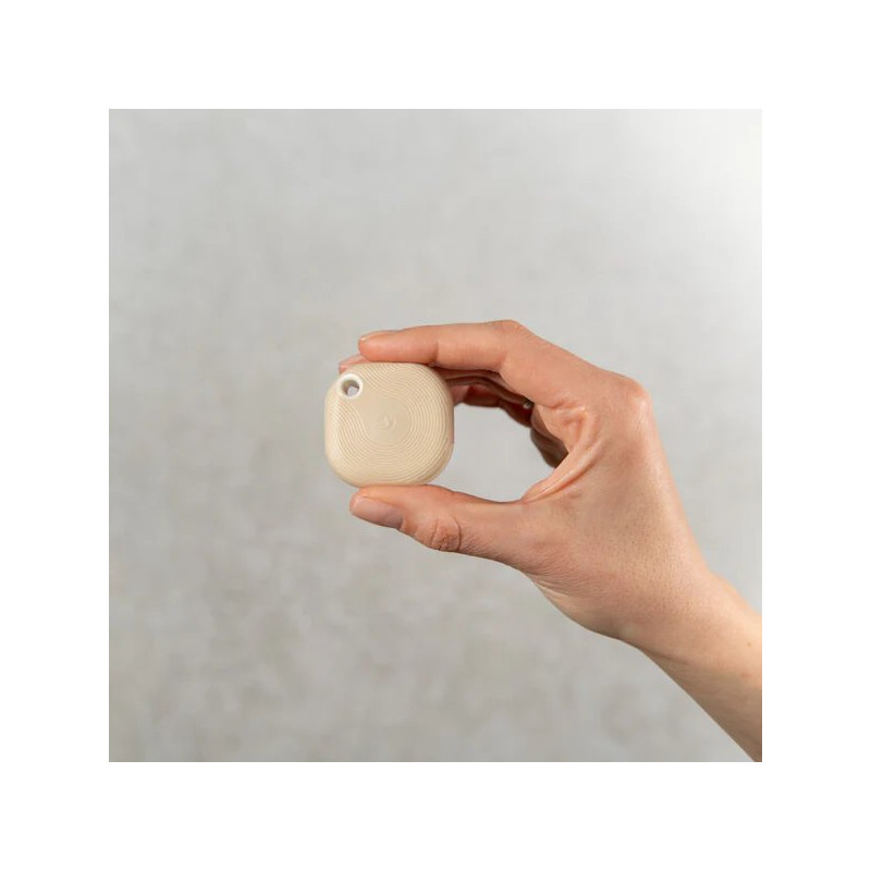 SHELLY BLU BUTTON TOUGH 1 MOCHA - Imagen 2