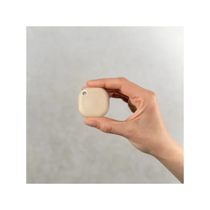 SHELLY BLU BUTTON TOUGH 1 MOCHA - Immagine 2