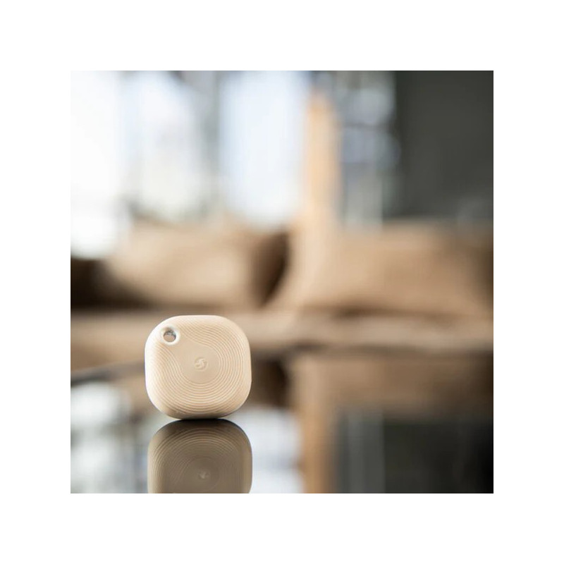 SHELLY BLU BUTTON TOUGH 1 MOCHA - Imagen 4