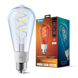 GOVEE R14C0 ST64 SMART EDISON BULB E27