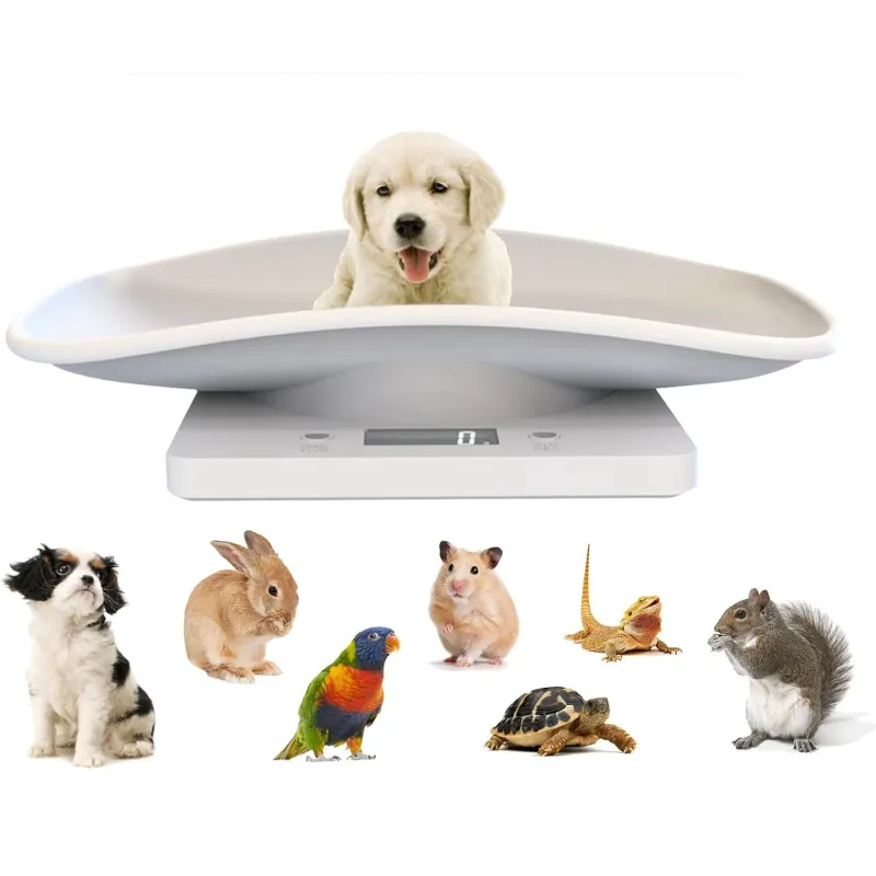 Extralink Home NT1 Universal Terazi, 10kg