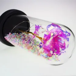 Eternal Rose in Glass Extralink Home, Pink LED Light