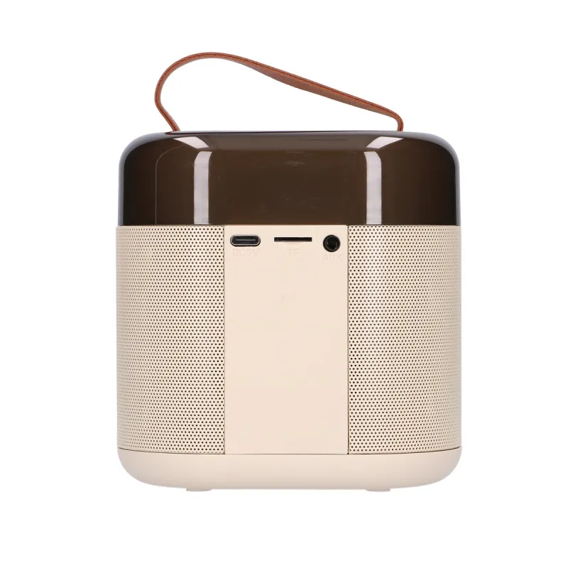 Extralink Kids Karaoke Set LED Lautsprecher 1x Mic Weiß, Bluetooth Lautsprecher, 1 Mikrofon, AUX, SD-Kartensteckplatz, RGB-Beleu