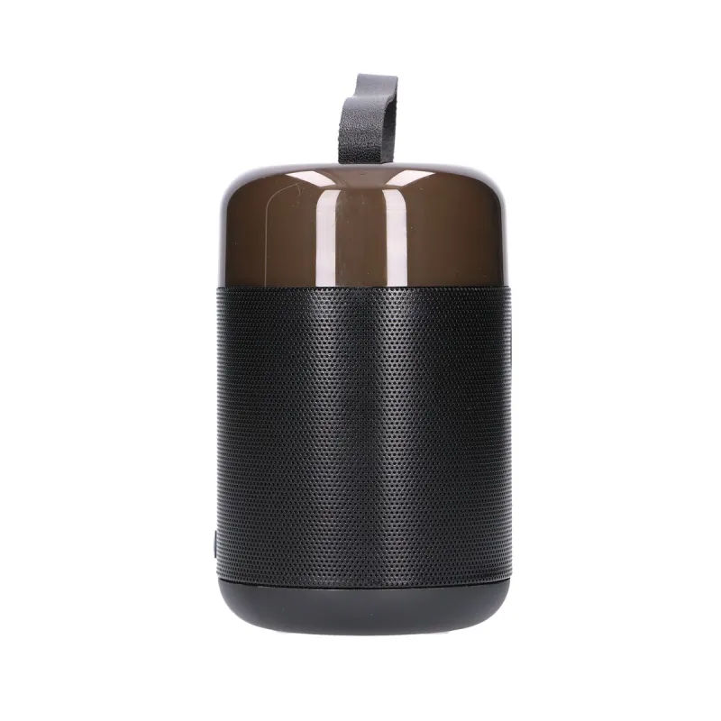 Extralink Kids Karaoke LED Speaker 1x Mic Czarny Zestaw do Karaoke głośnik, 1 mikrofon, Bluetooth, AUX, slot na karty pamięci, o