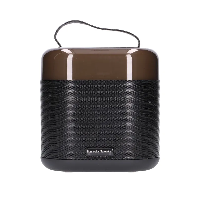 Extralink Kids Karaoke LED Lautsprecher Set 2x Mic Schwarz, Bluetooth Lautsprecher, 2 Mikrofone, AUX, Kartensteckplatz, RGB-Bele