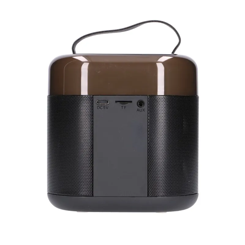 EXTRALINK KIDS KARAOKE LED SPEAKER 2 MICROPHONES BLACK