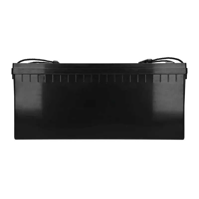 Extralink LiFePO4 200AH Akumulator 12.8V, BMS