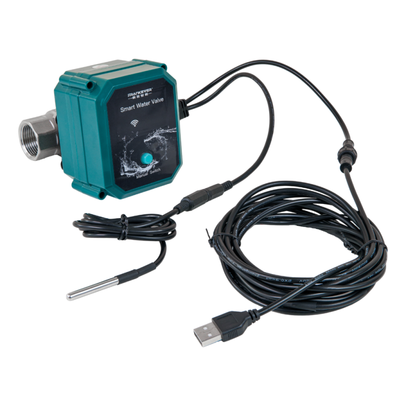 FRANKEVER SMART WATER VALVE DN20