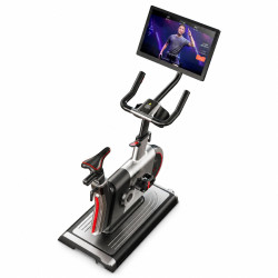 ROWER TRENINGOWY STAYFIT ROTATION