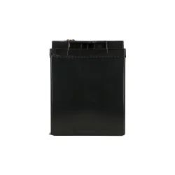 Extralink AGM 12V 100Ah, Batteria, senza manutenzione - Immagine 4