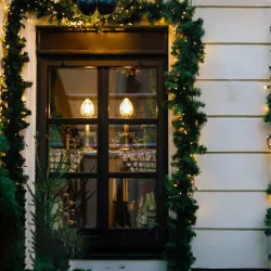 Extralink LED Christmas Tree Light Garland - Image 5