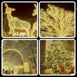 Extralink, Christmas tree lights, festive, 10,5m, 100 LED, warm white, battery-powered - Image 8