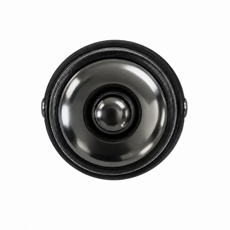 Roidmi 3S Pro, Cargador de coche con transmisor FM, Bluetooth, Color Negro - Imagen 4