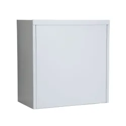 Mantar M-58/58/30 WZM | Armored cabinet | depth 300 mm