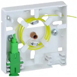 Mantar | Kundenbox | Tiefe 24 mm