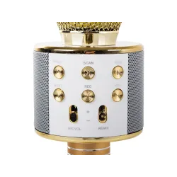 Extralink | Micrófono inalámbrico | con altavoz, Bluetooth, dorado