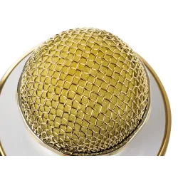 Extralink | Micrófono inalámbrico | con altavoz, Bluetooth, dorado