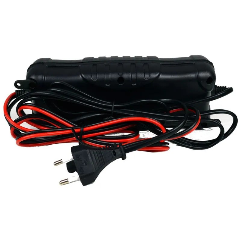 VOLTAJE 8A 12V/24V | Cargador automático | 190W, IP65 Napięcie wyjściowe12V