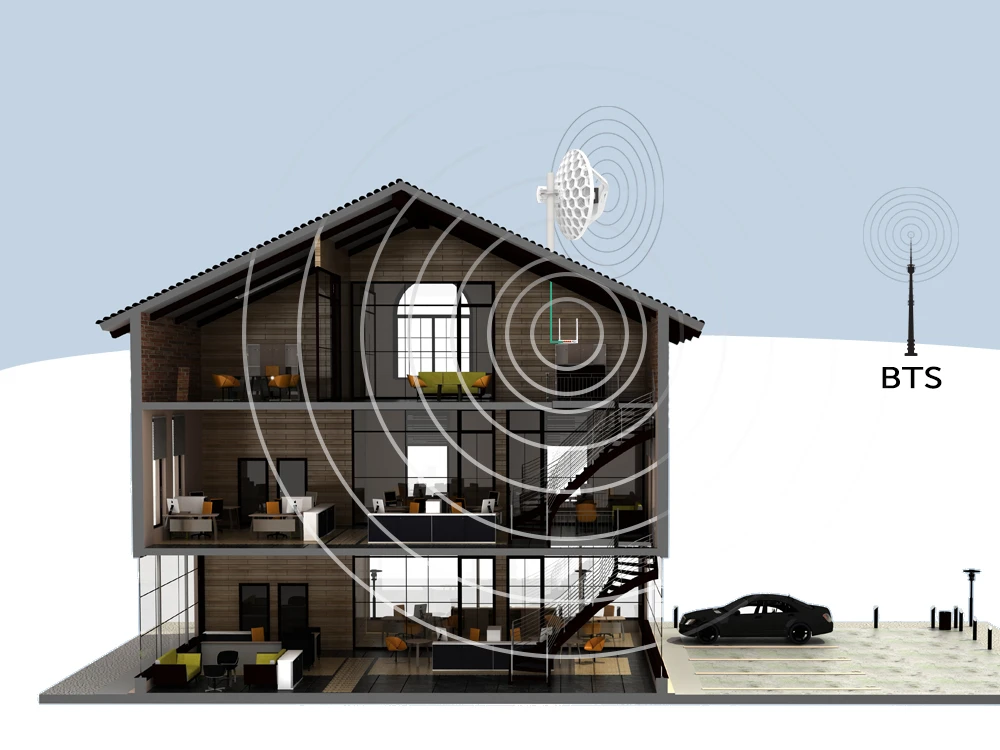 Microtúbulos LHG Totololink