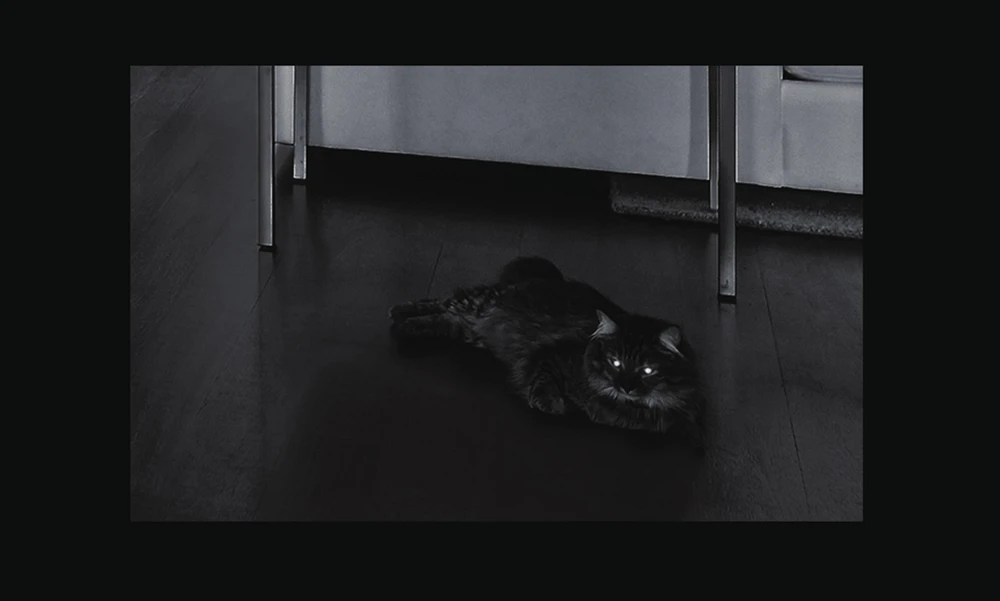 EzViz visão noturna