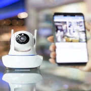 Vale a pena investir em uma câmera de sensor de movimento?