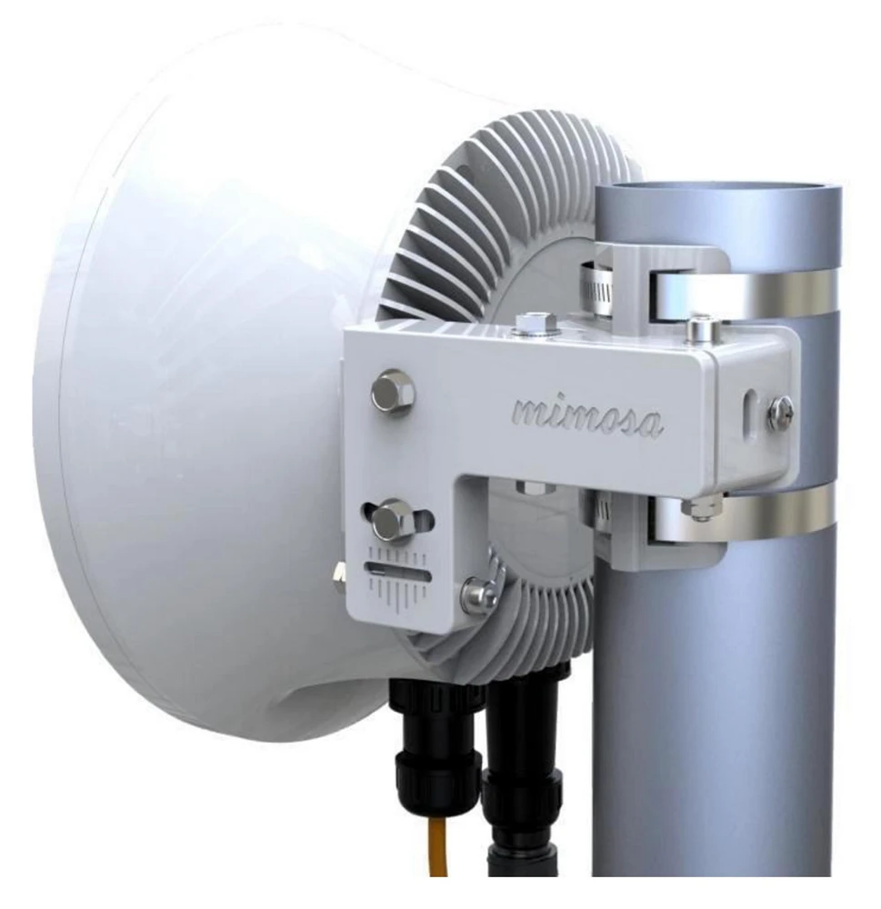 Montagem de mimosa B24