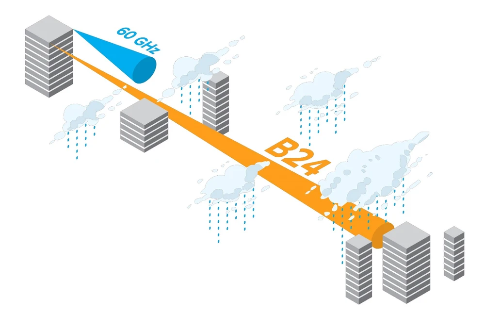 Aplicação da Mimosa B24