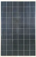 Risen Energy RSM60-6-280P Poly | Fotovoltaický panel | 280W, Polykrystalický, stříbrný Moc (W)280