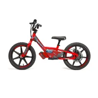 Racerone R1 Go | Elektrické balanční kolo | R1 Go Červené 3