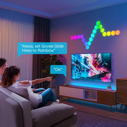Govee H6061 Glide Hexa | LED Panel | RGBIC Napięcie wejściowe AC24