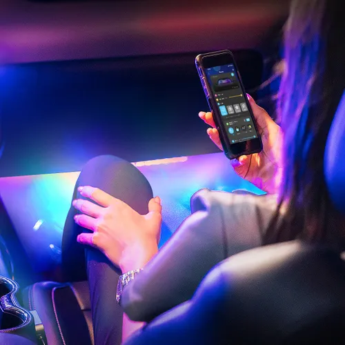 Govee H7090 | Interior car lights | RGBIC Kolor produktuPrzezroczysty