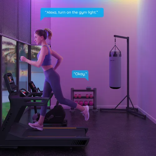 Govee H61E1 LED Strip Lights 5m LEDStreifen RGBICW, WiFi,
