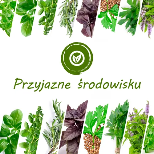 Extralink Smart Garden + Zestaw Zioła | Inteligentna doniczka | Wi-Fi, Bluetooth 3