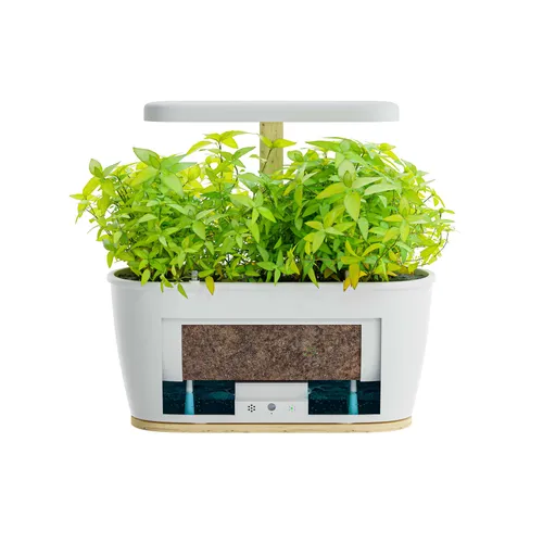 Extralink Smart Garden + Herbs Set | Smart Pot | WiFi, Bluetooth 4