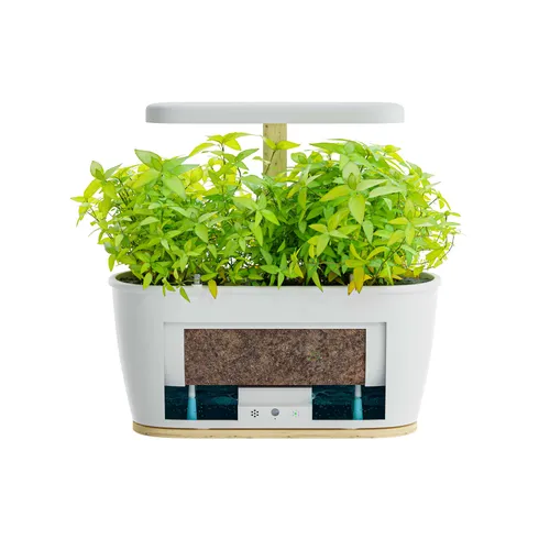 EXTRALINK SMART INDOOR GARDEN + ZESTAW WARZYWA 5