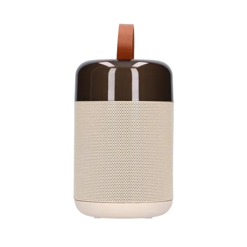 EXTRALINK KIDS KARAOKE LED SPEAKER 2 MICROPHONES WHITE 3