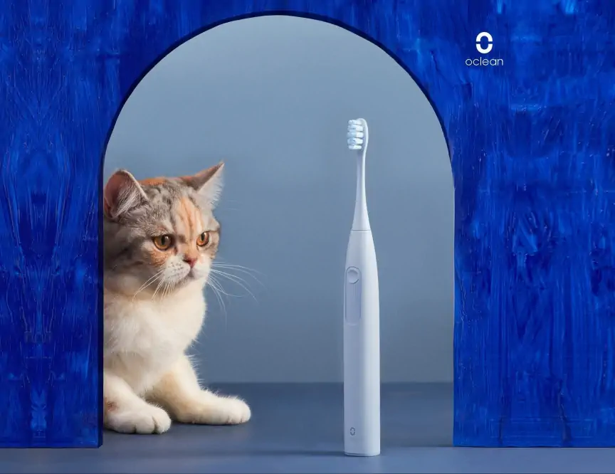 XIAOMI OCLEAN F1 ELECTRIC TOOTHBRUSH BLUE