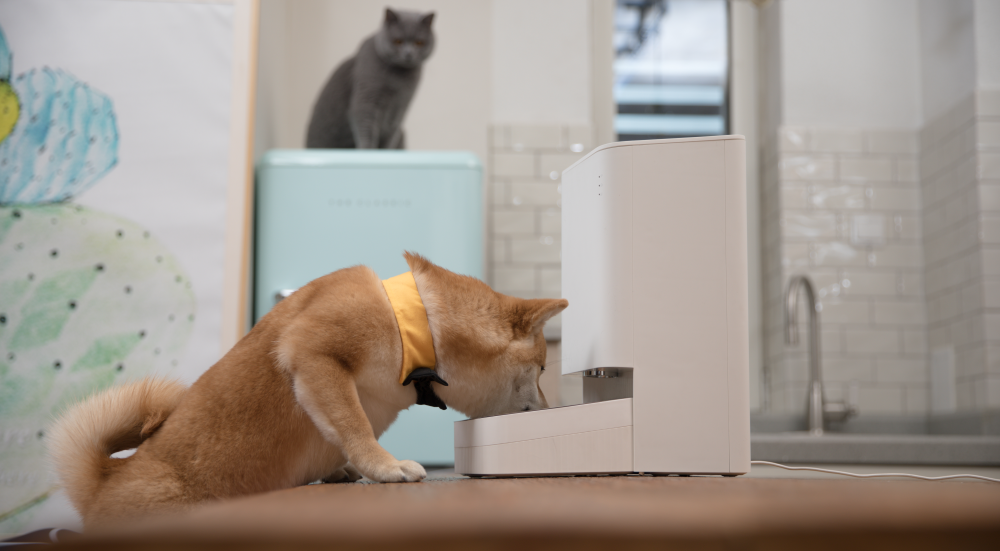 Xiaomi Smart Pet Food Feeder