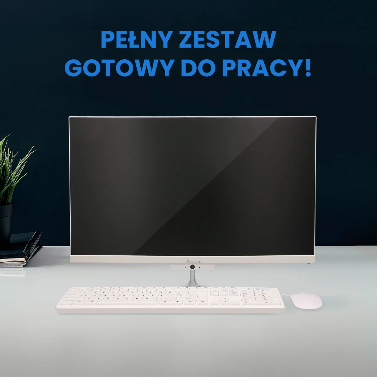 EXTRALINK ALL-IN-ONE PC BUSINESS