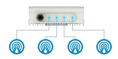 Extensive network